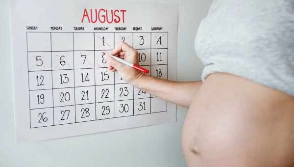Сколько недель длится беременность