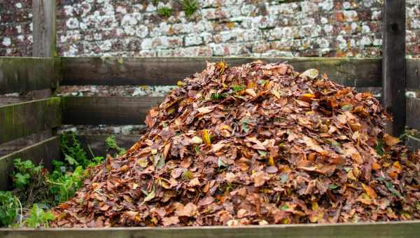 Как сделать перегной из листьев или листовой компост?