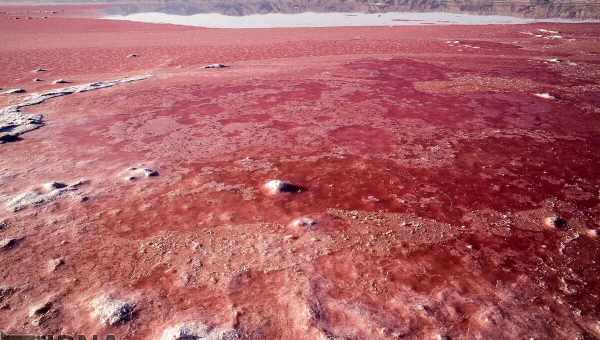 Небезпечні місячні та марсіанські ґрунти можна перетворити на «кисневі ферми»