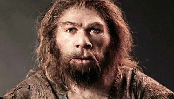 Останні звістки з життя неандертальців. Головні новини науки сьогодні
